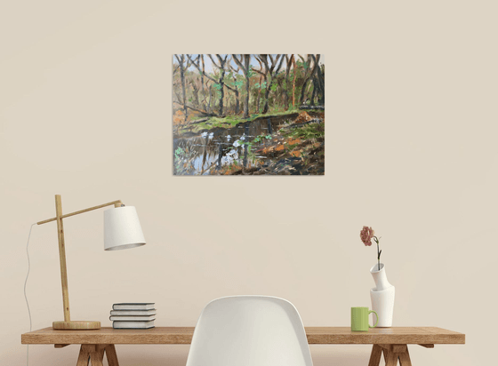 Stream in the forest