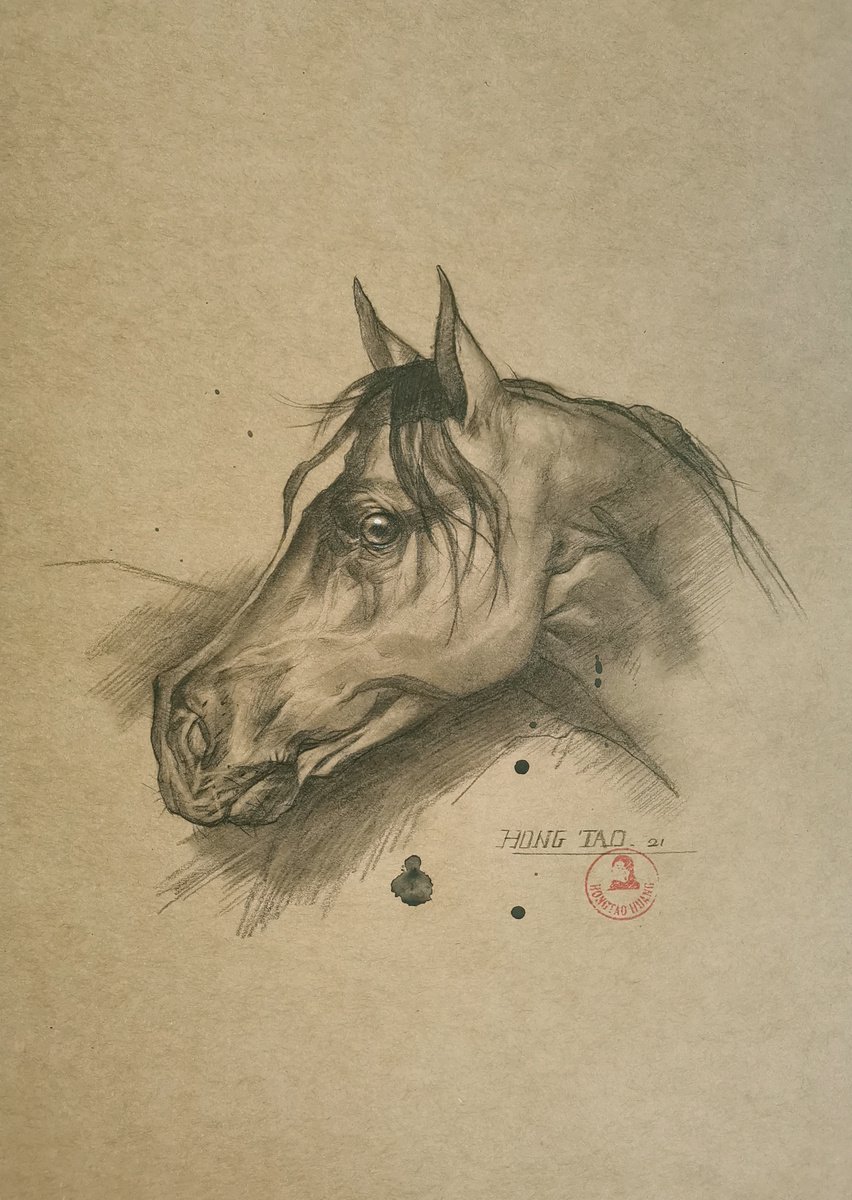 Illustrative Animal Pencil Drawing By Hongtao Huang, 8 X 12, Horse#22524, Original Artwork