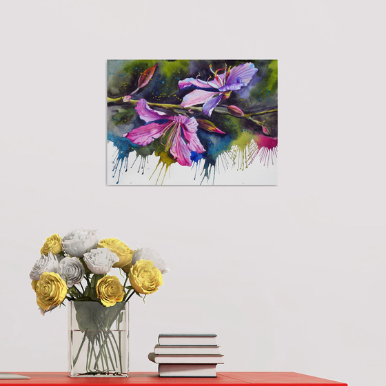 Expressive bauhinia