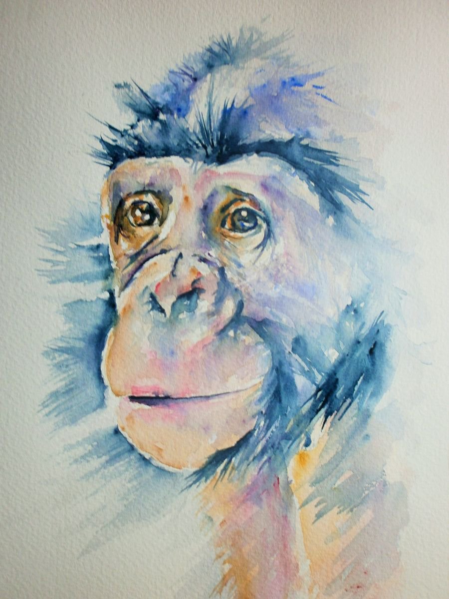 Chimpanzee by Sue  Green