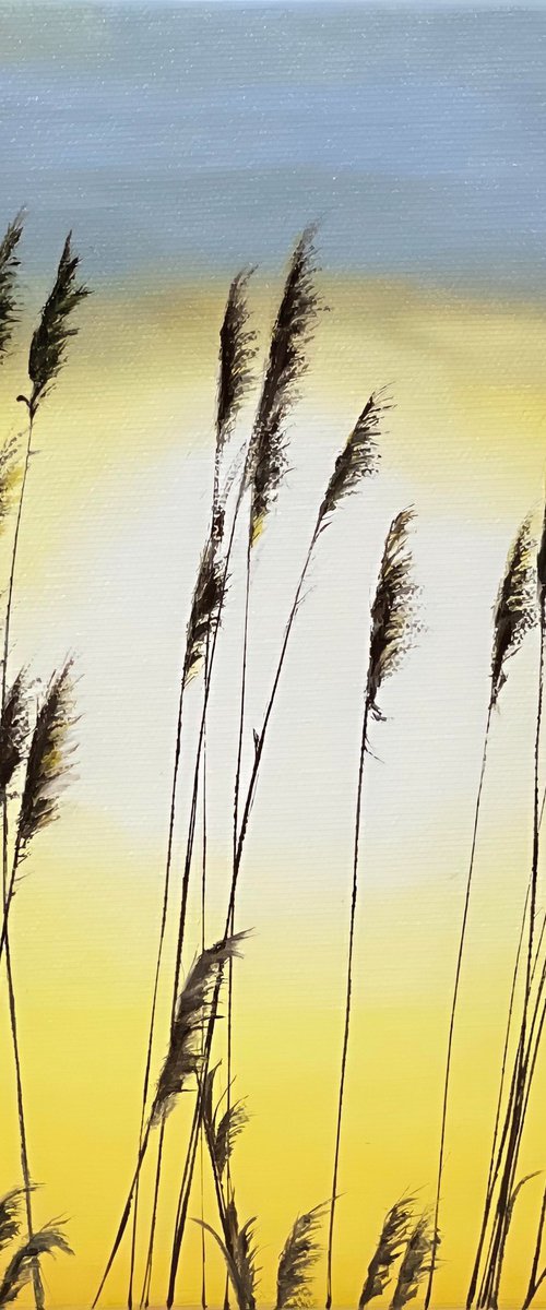 Seagrass on a Sunrise by Alla Kallass