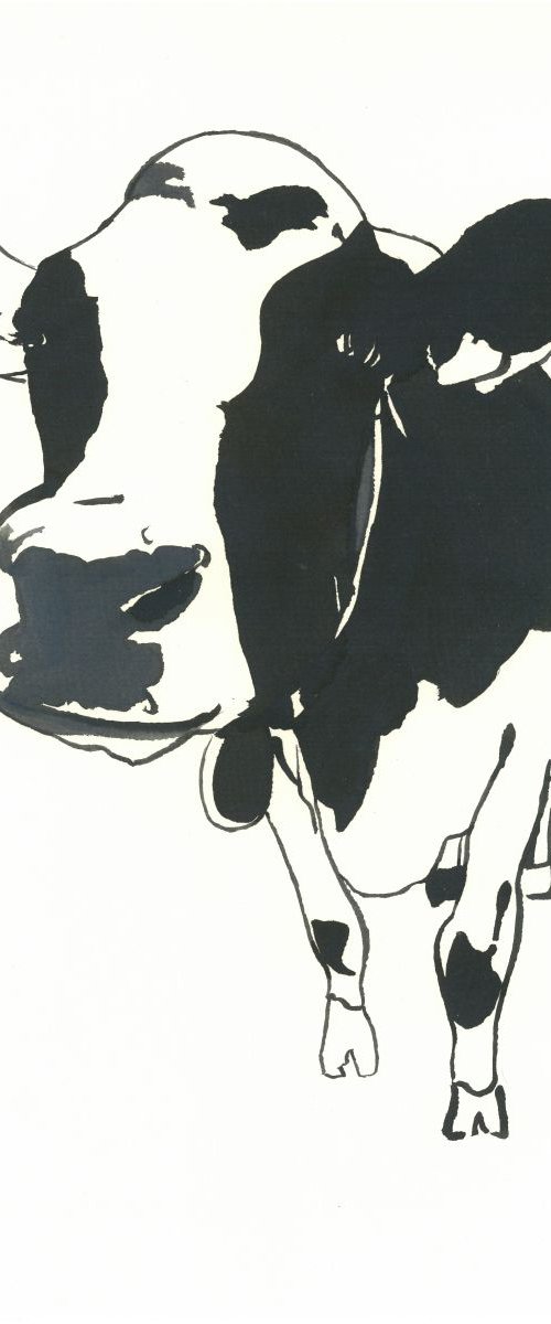 Cow I Animal Drawing by Ricardo Machado