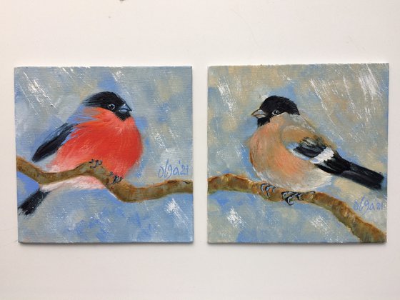 Diptych oil paintings - Bird small canvas - Bullfinches for bird lover - Christmas gift idea