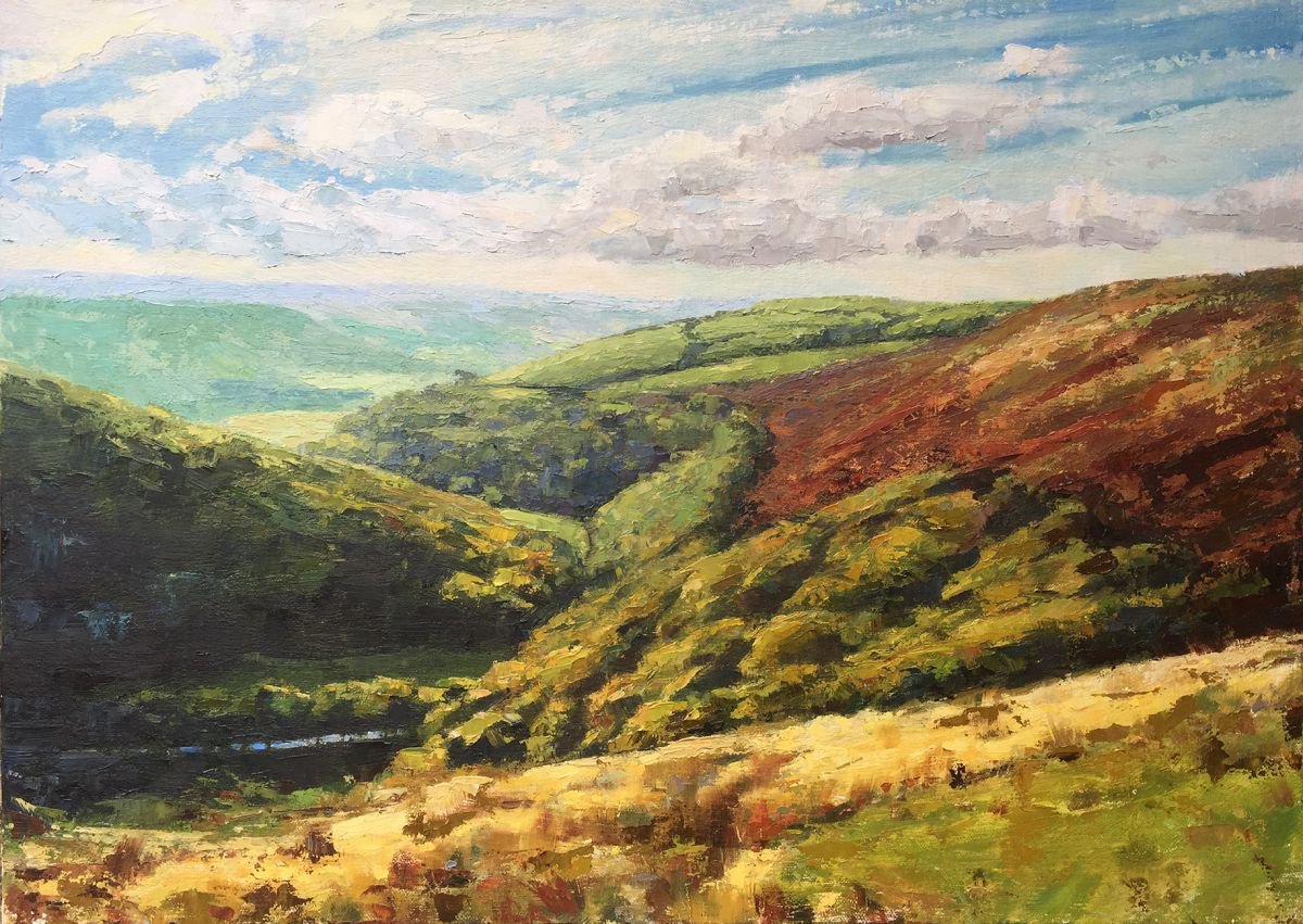 Exmoor - Over the River Lyn by Jana Forsyth