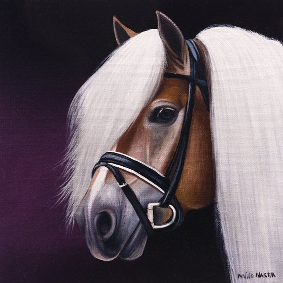 Horse Portrait 101