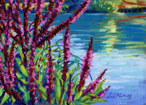 Summer on the Norfolk Broads