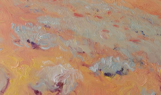 Desert Haze