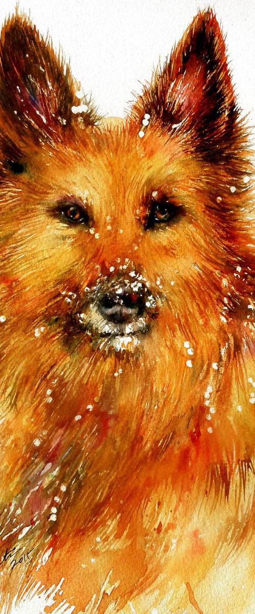Snow Dog_Golden by Arti Chauhan