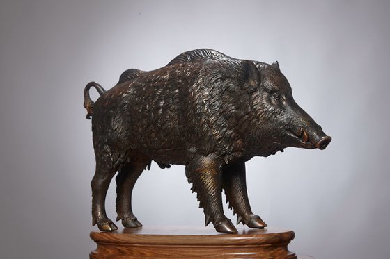 Wild Boar