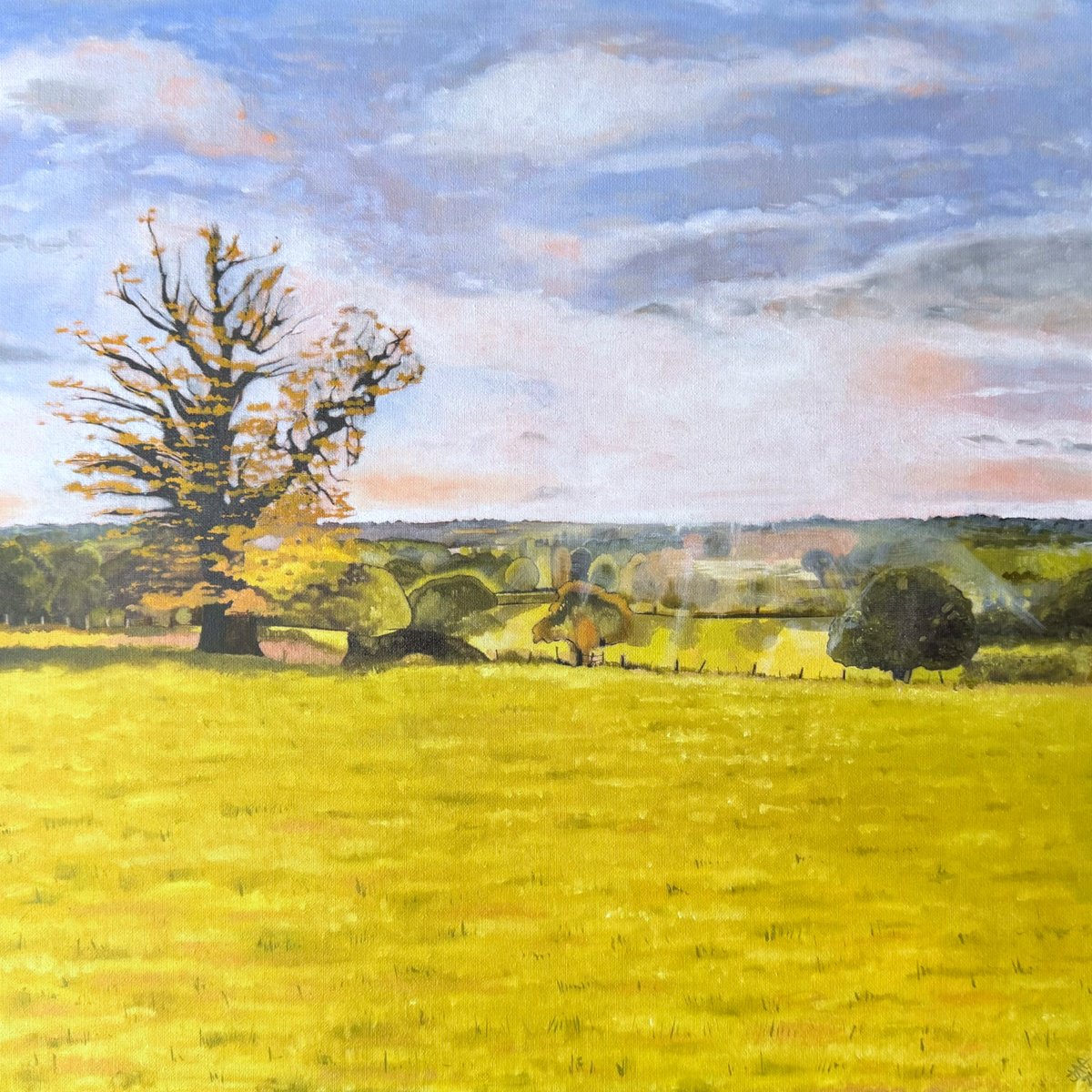 Expressive Landscape Oil Painting By Jem Gooding, 17 X 17, Evening Light, Original Artwork