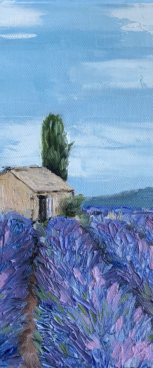 Provence Lavender field 100%Original Oil Painting by Leysan Khasanova