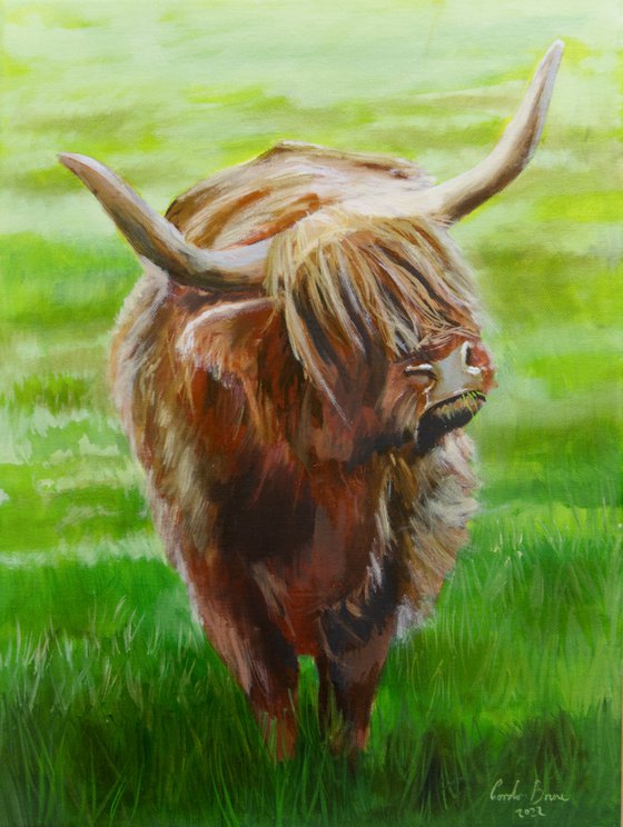 Highland cow painting