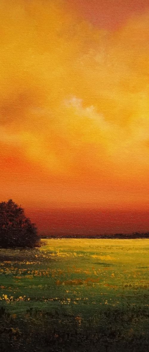 Afterlight by Faith Patterson