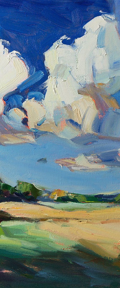 Fields Under Summer Skies by Daria Zavadenko