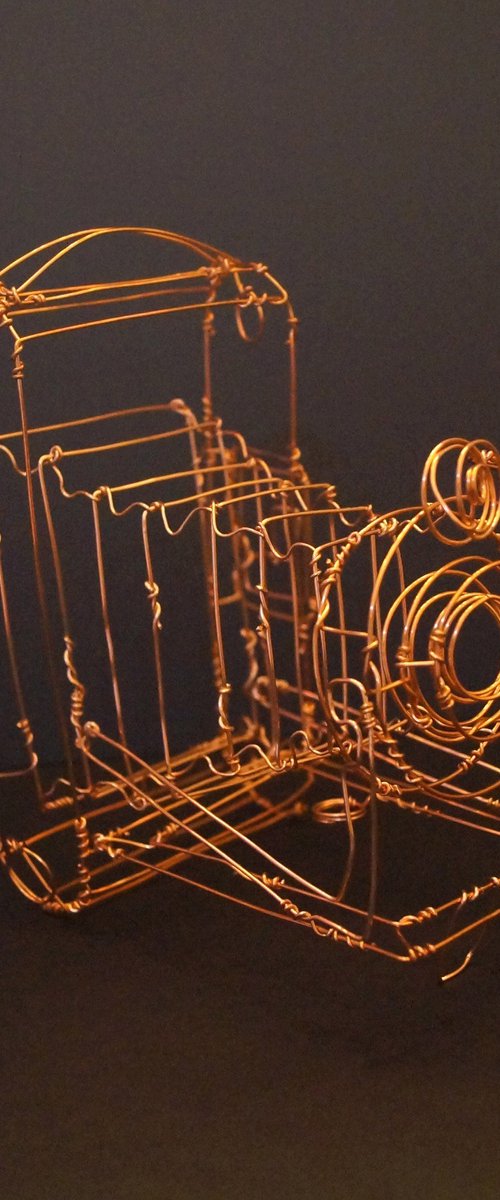 Kodak Camera Wire Sculpture by Jane Tilley
