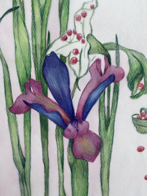 Purple Botanical Irises