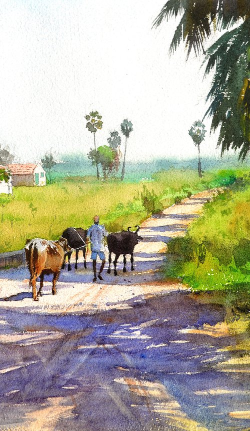 Off to graze by Ramesh Jhawar