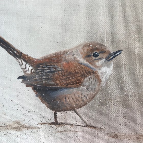 Little Wren ~ on silver