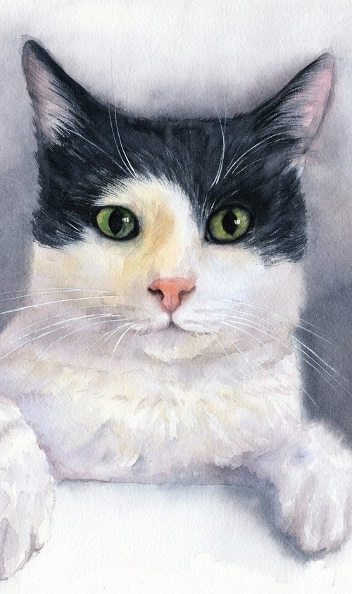 Cat portrait by Tetiana Koda