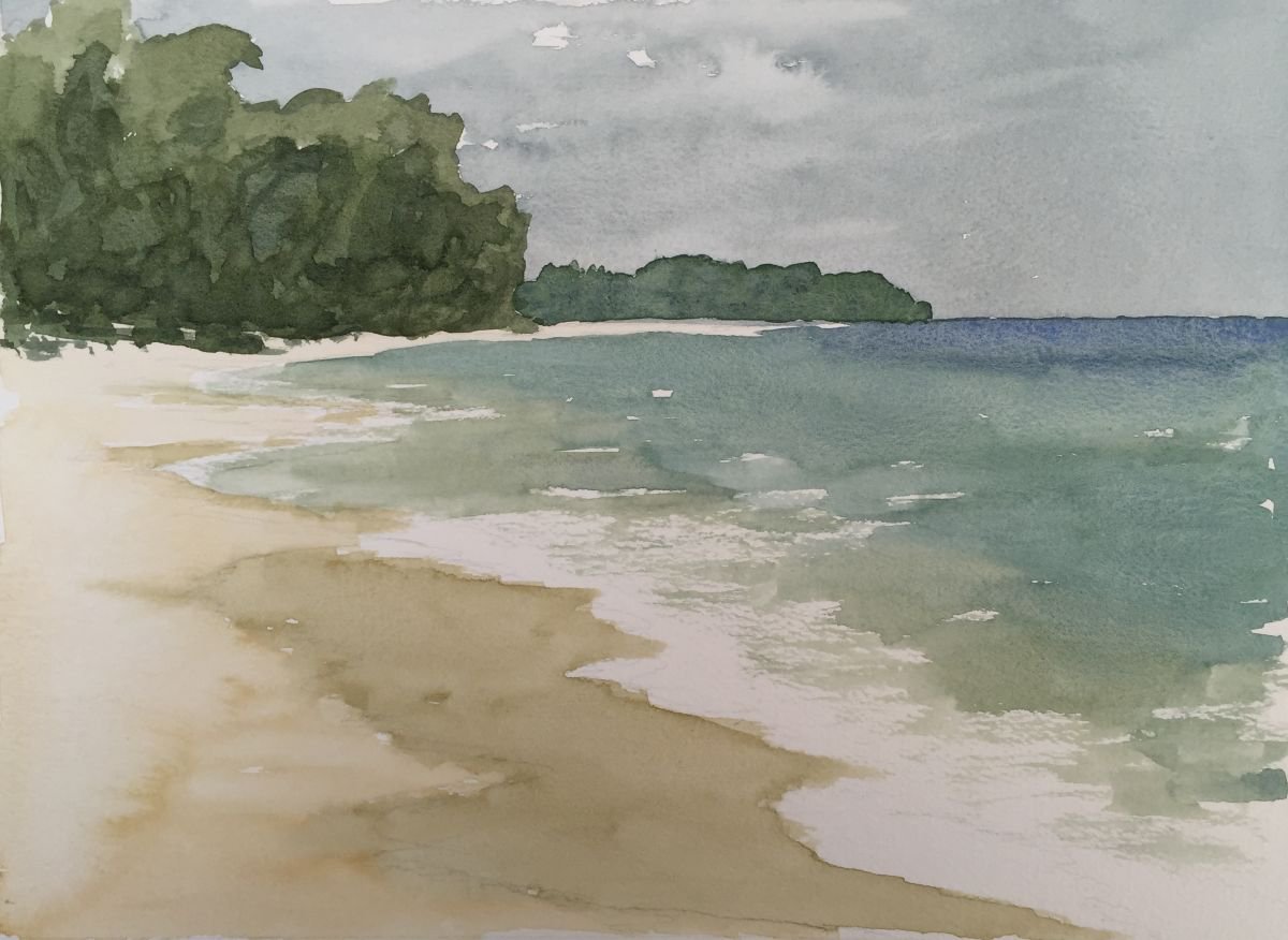 Tropical Beach by Michael Richards