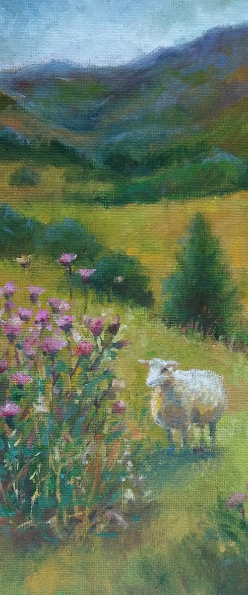 Scottish landscape, sheep on pasture by Ann Krasikova