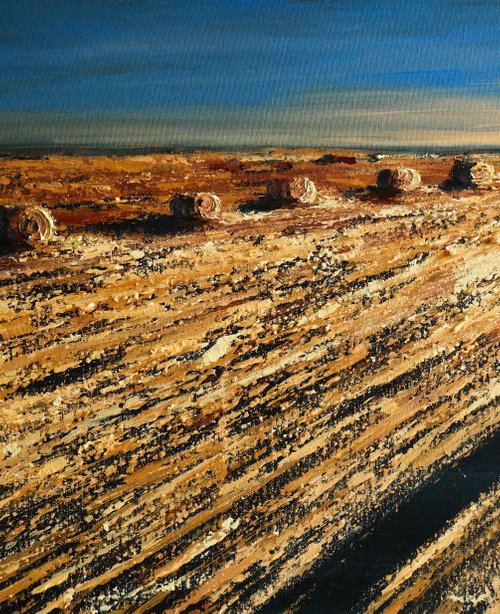 The Fields of gold  and the Sunrise- Fields and Colors Series by Danijela Dan