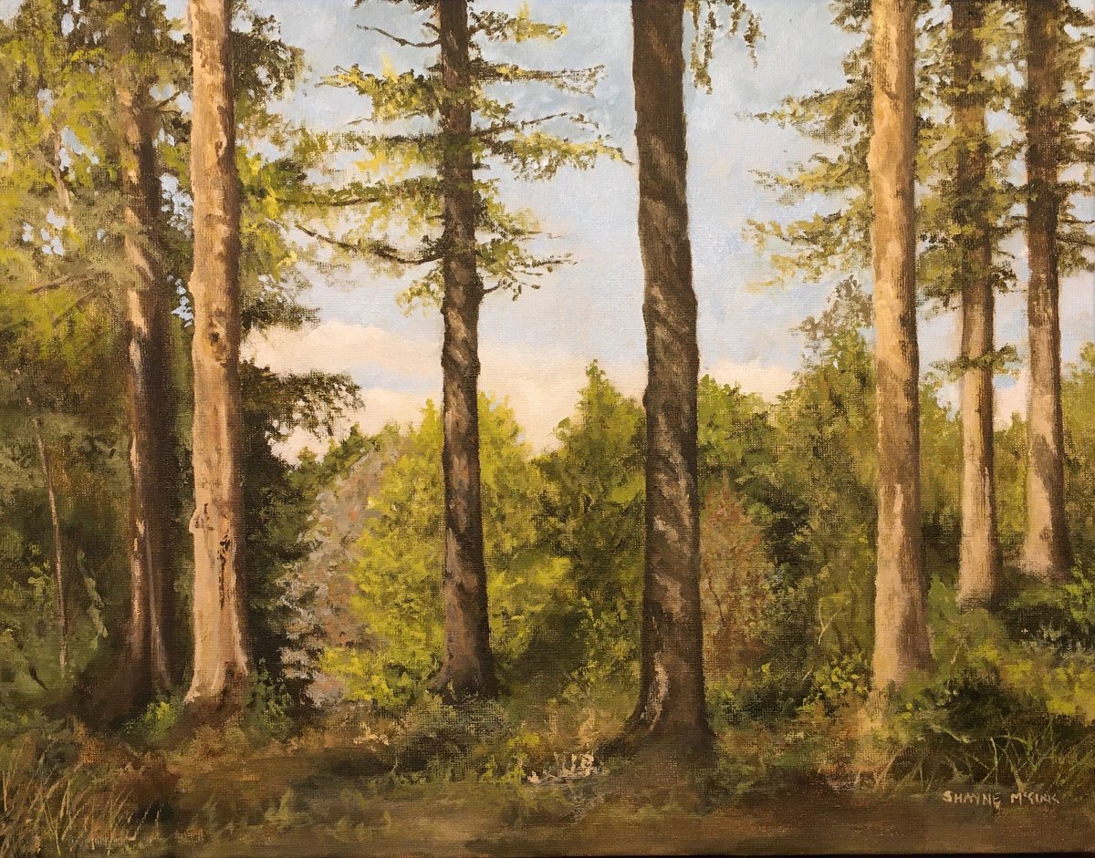 Impressionistic Landscape Oil Painting By Shayne Mcgirr, 20 X 16", Bedgebury Trees, Original Artwork