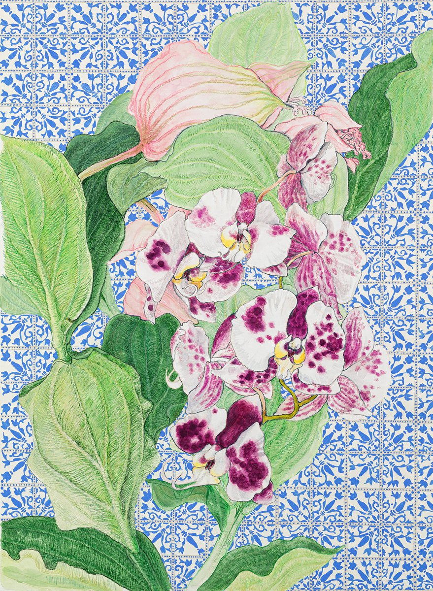 Botanical Painting By Natalie Levkovska, 21 X 29", Orchids With Moroccan Motif, Original Artwork