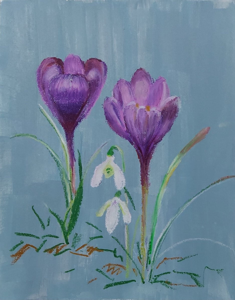 Oil pastel drawing of spring flowers Crocuses, 2024 by Olena Kolotova