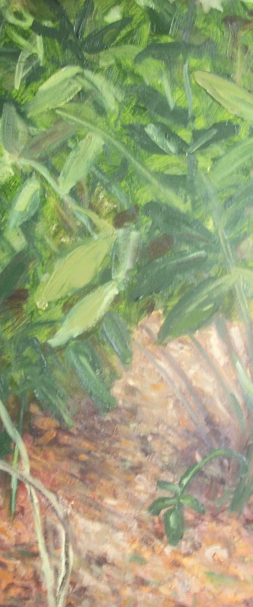Laurels by Jack Bagley