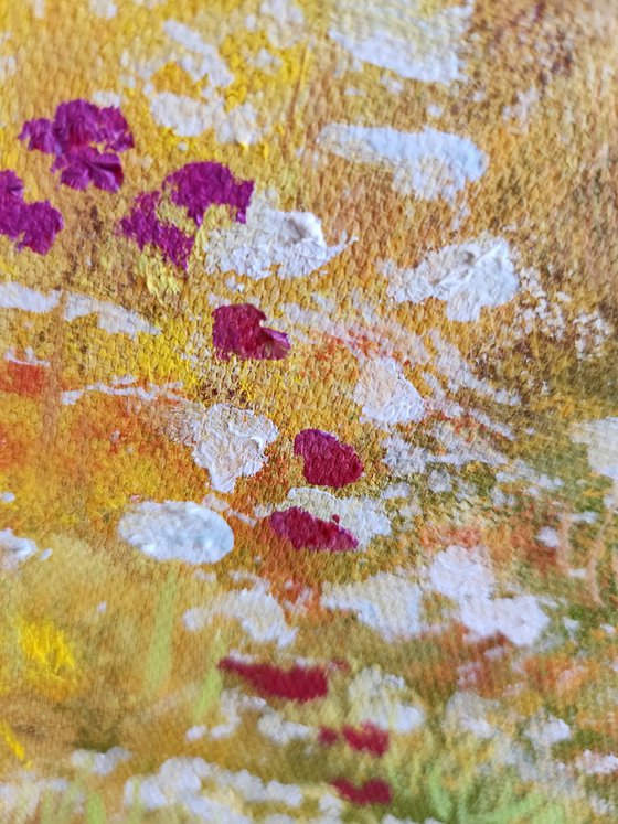 Sunlit Meadow.