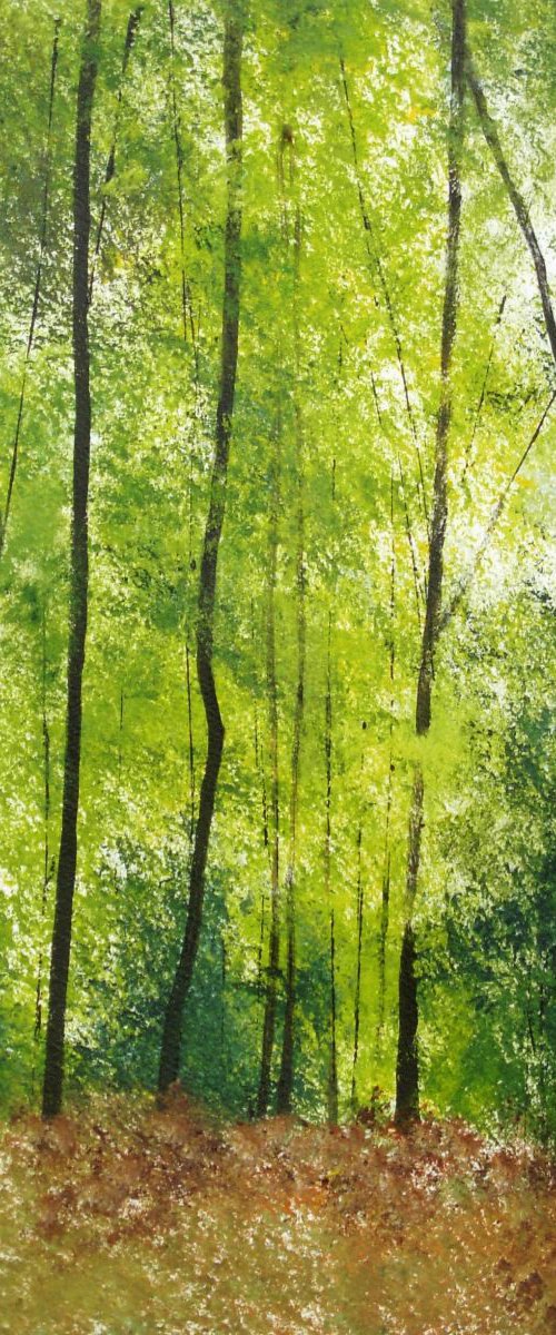 Waggoners Wells, Hampshire by Jan Rippingham