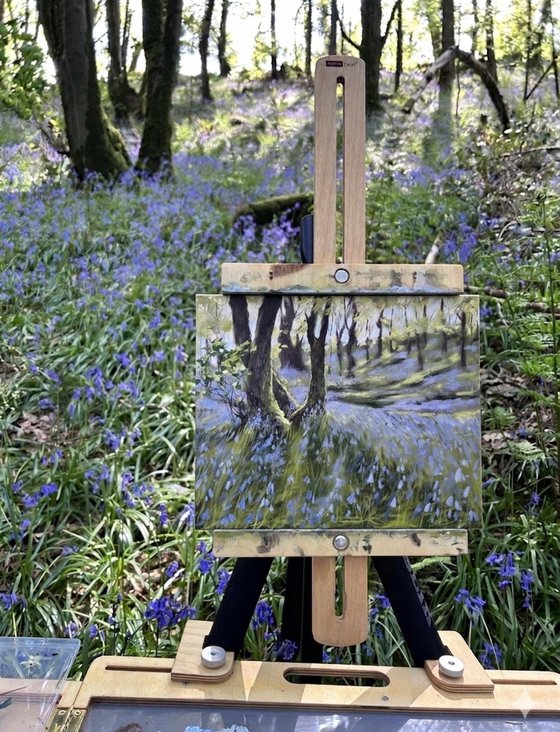 Bluebell wood