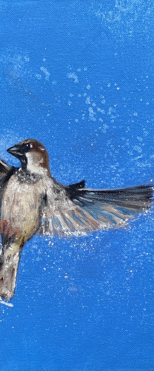 Sparrow in Flight by Laure Bury