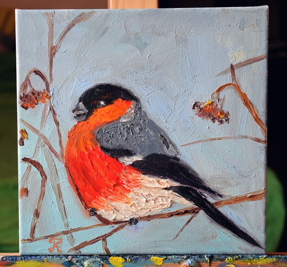 Original oil painting Bird Bullfinch