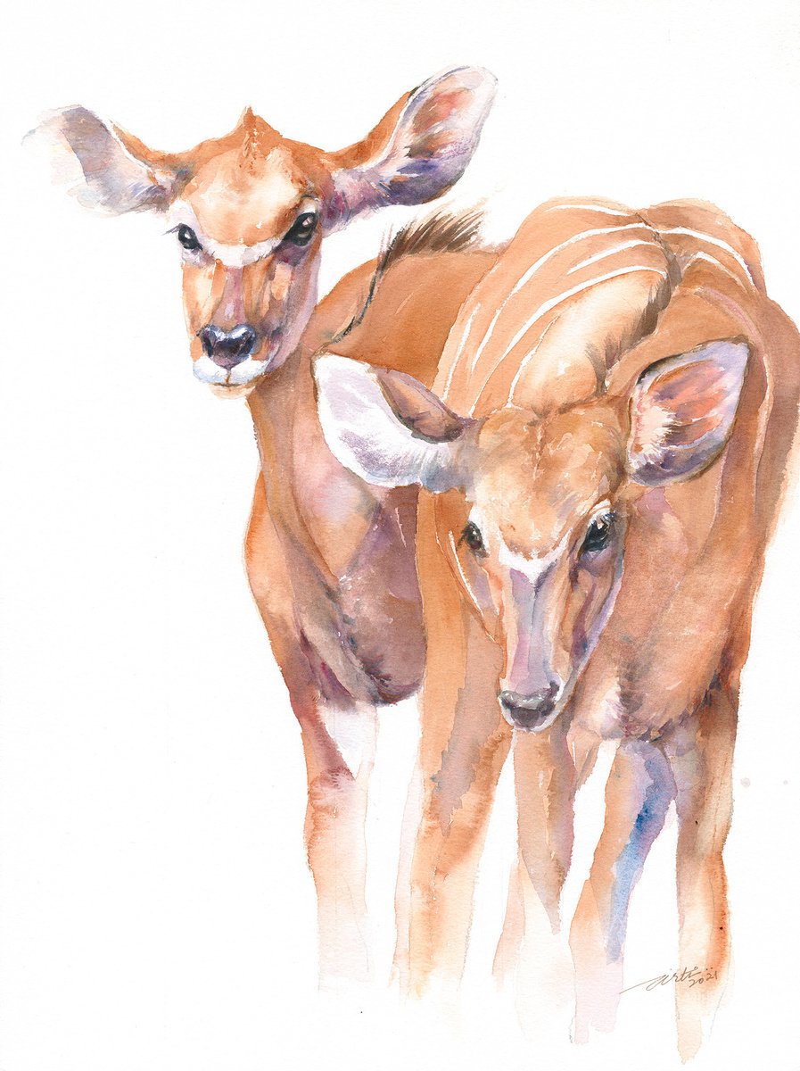 Kudus Together by Arti Chauhan