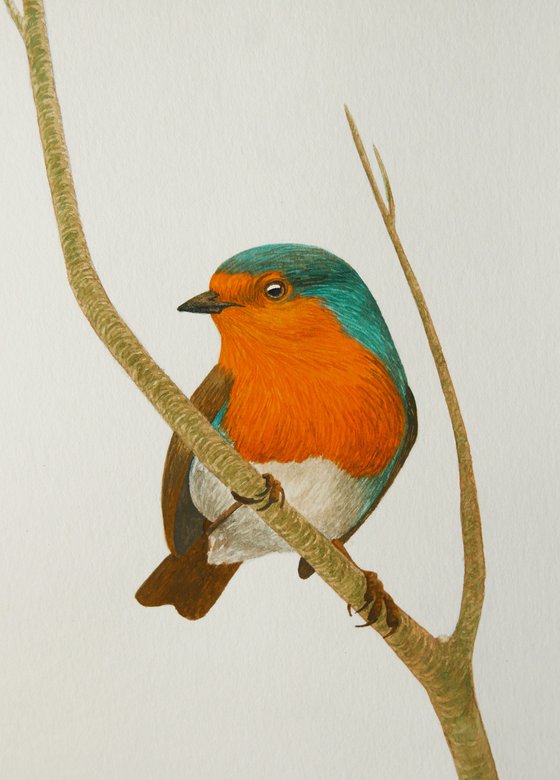 Robin sits on the branch