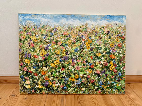 Blooming field