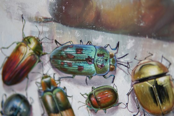 The Bugs
