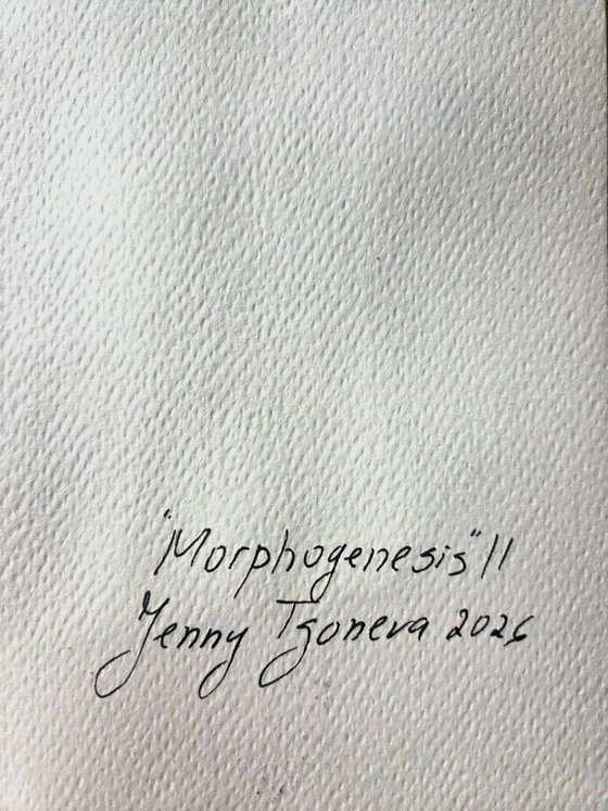 MORPHOGENESIS II