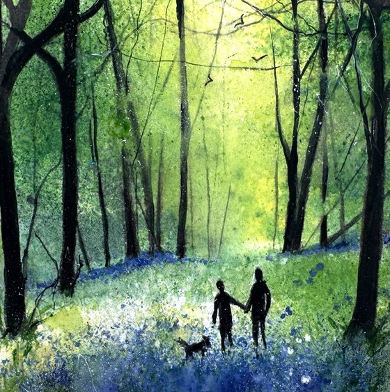 Our Woodland Bluebell Walk