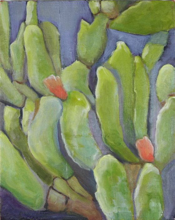 Cactus Pear Plant