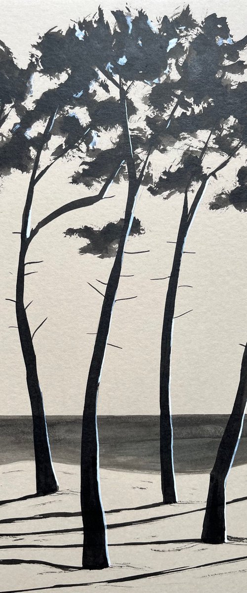 Pinetrees by Cadiou Frederic