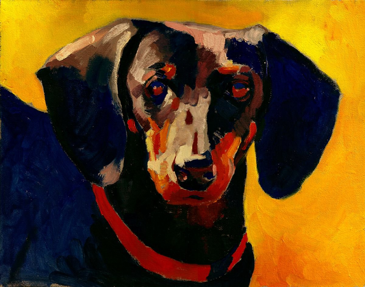portrait of a dog by Tatyana Holodnova