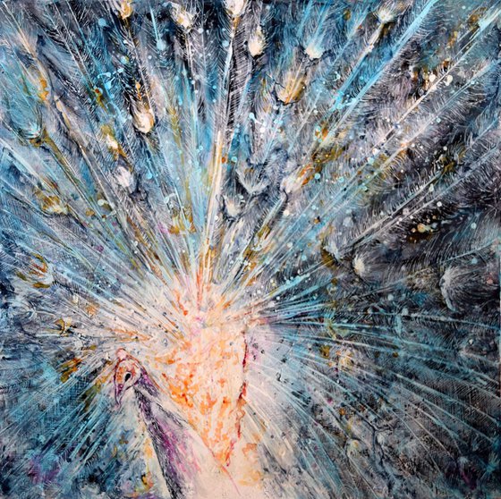 White peacock