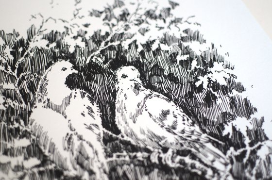 Doves on a Branch