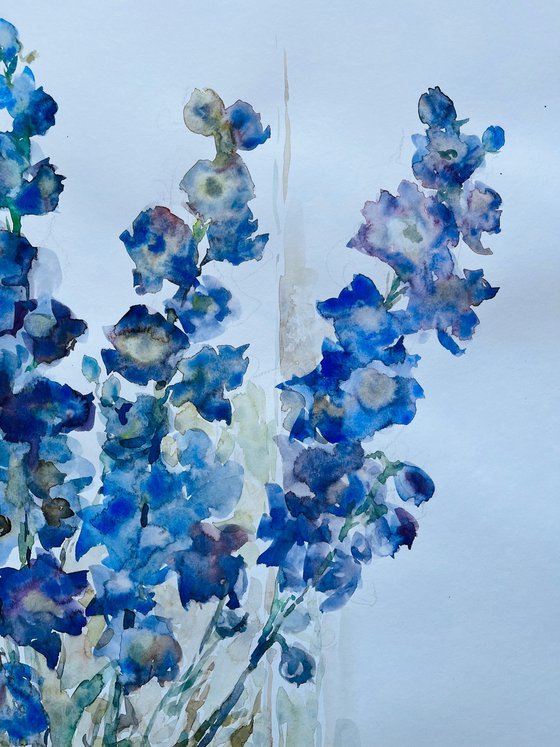 Delphinium in vase. 30in.x22in