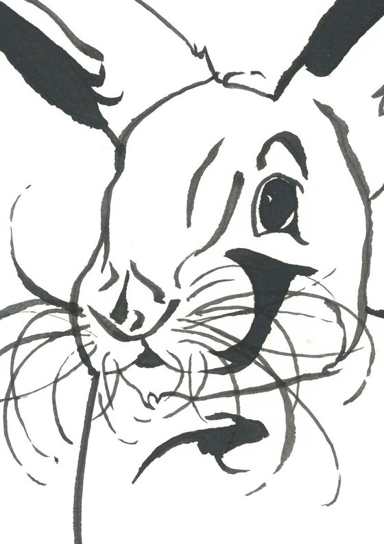 Rabbit I Animal Drawing