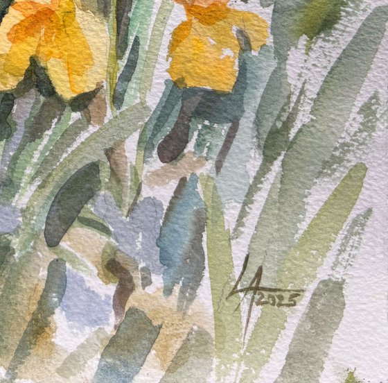 Irises