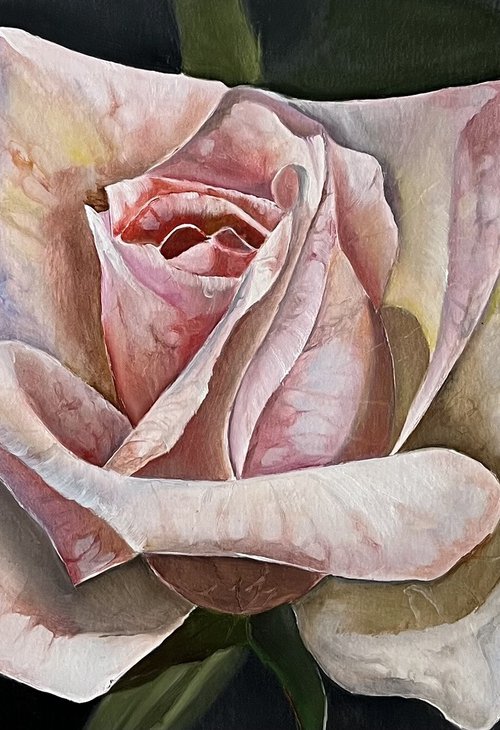 Rose postcard by Myroslava Denysyuk